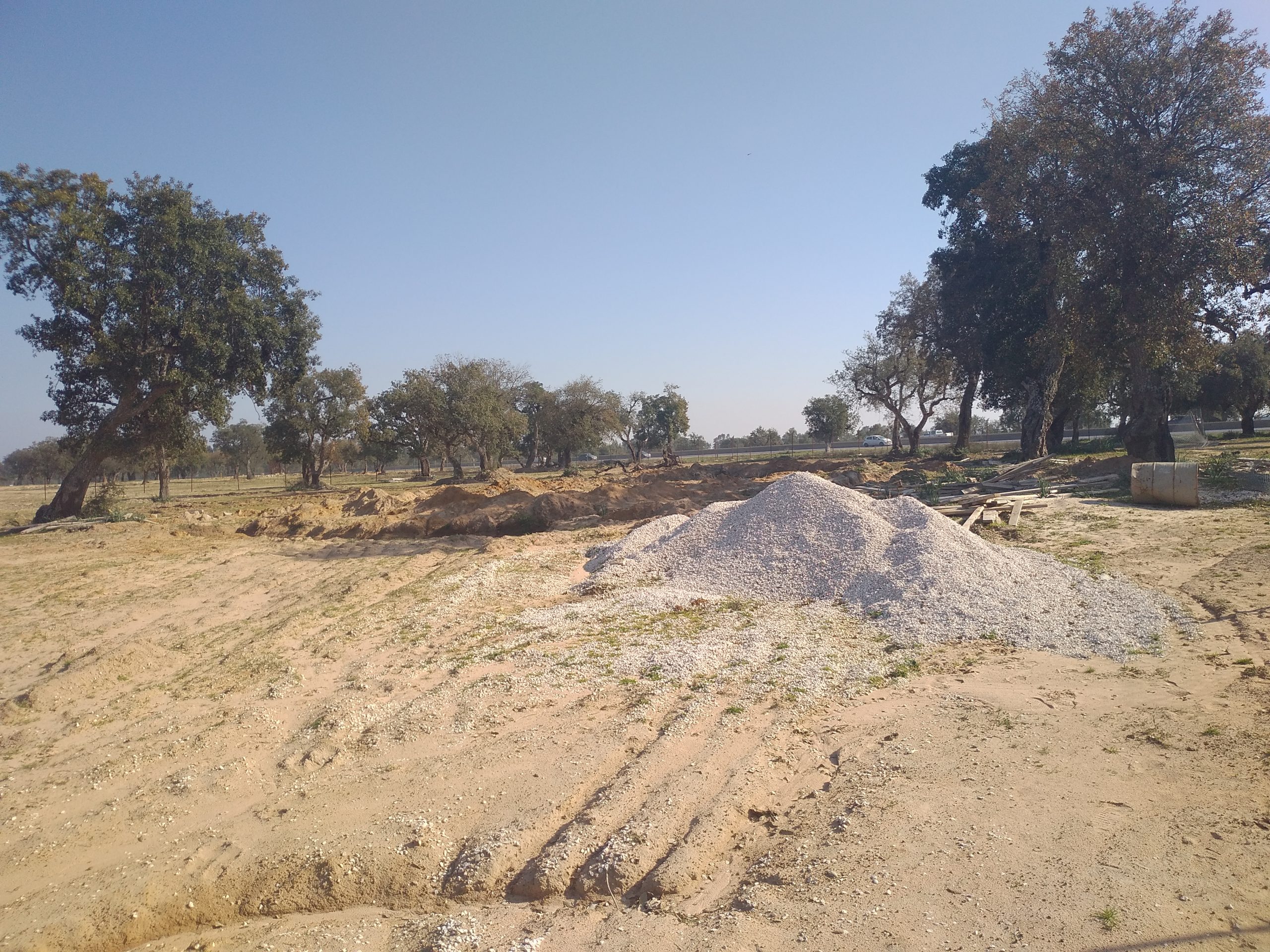 Environnement : Les bulldozers et la forêt