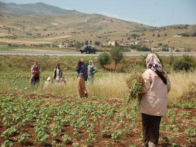 ZONES D’OMBRE A OUM EL BOUAGHI : Une campagne de sensibilisation pour la femme rurale