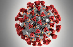 Sensibilisation sur la covid-19 : Les associations multiplient les efforts