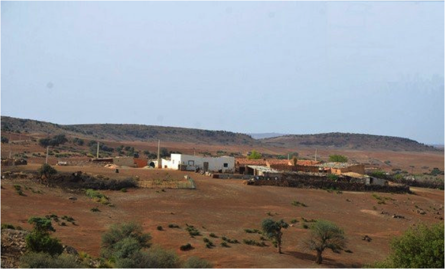 Zones d’ombre à Jijel : Un élan de développement qualitatif dans divers domaines