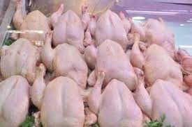 Après l’appel au boycott du poulet : Son prix est revu à la baisse