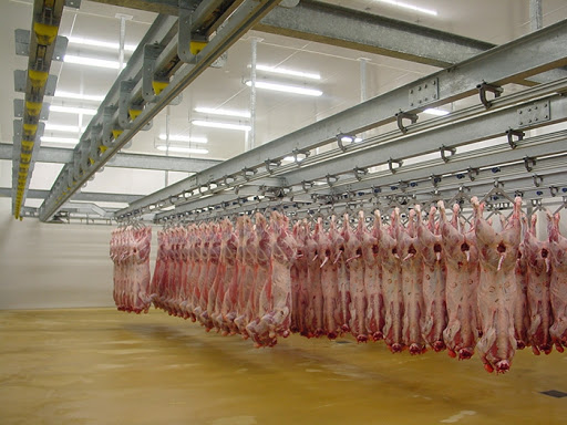 Abattoir communal de Seybouse : Les travaux de réhabilitation entamés