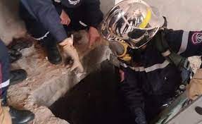 Drame de la prison de Oued Ghir (Bejaia) : pourquoi et comment ?