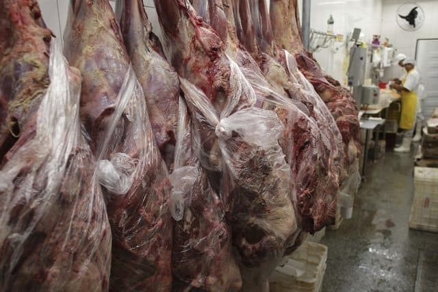 Tébessa : Saisie de 13 q de viande avariée