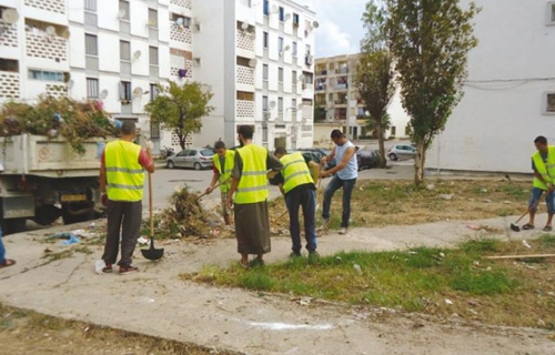 GUELMA : Les cités envahies par les herbes sauvages