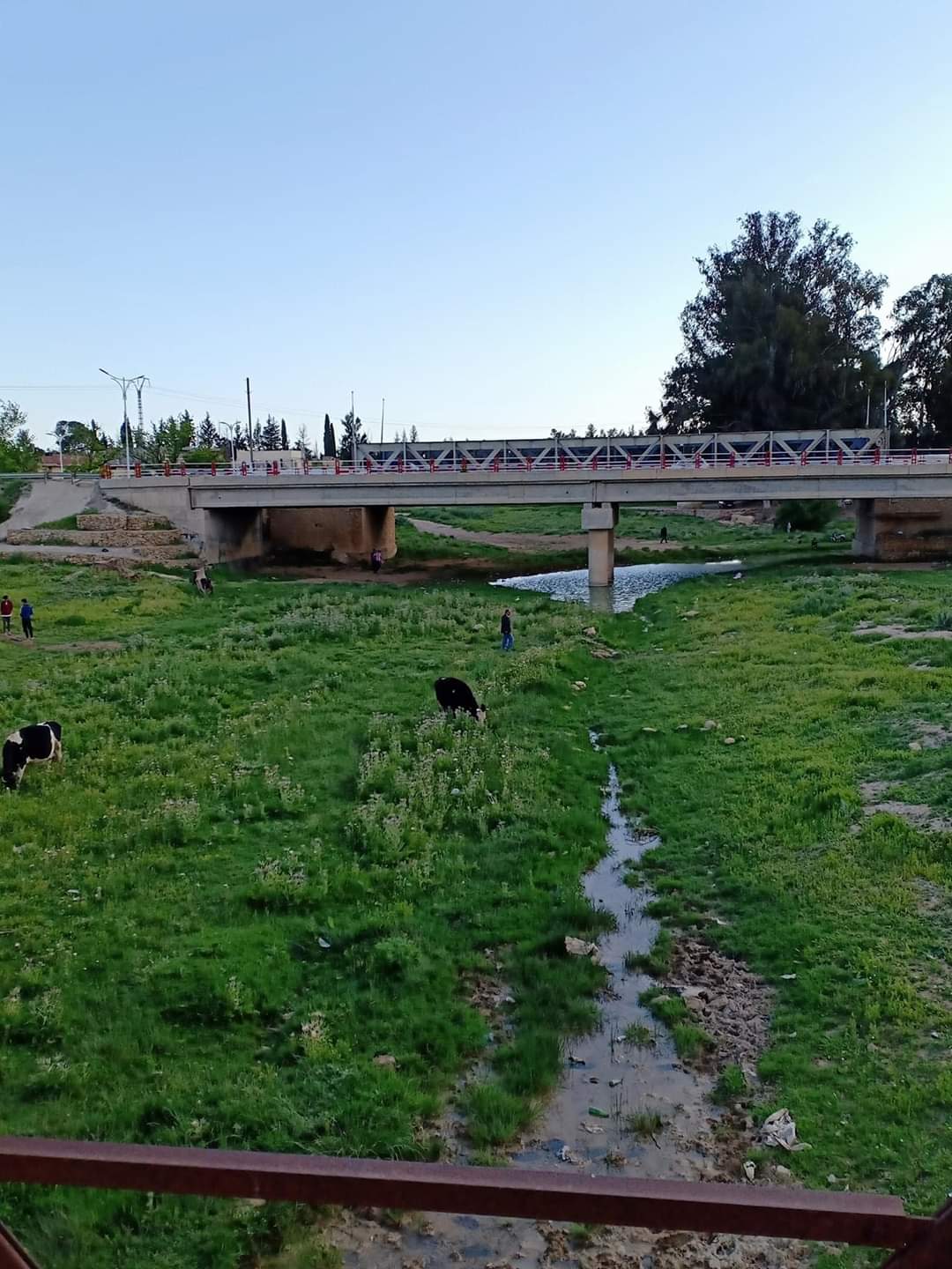 Barrage Chebabtas : Un impact certain sur Oum El Bouaghi