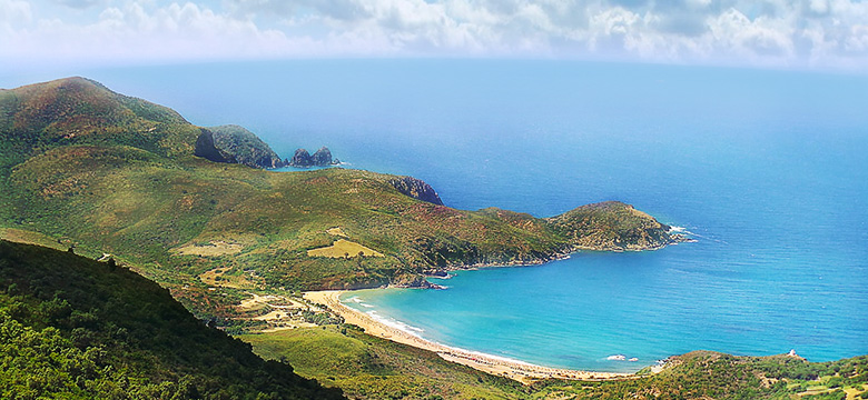 Transport vers les plages d’Annaba : La direction des transports lance “le plan bleu”