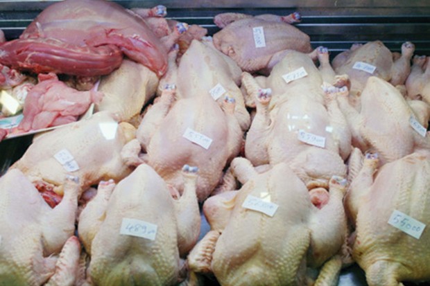 Brèves de Guelma : Les viandes blanches à la portée des bourses modestes