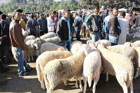 EL-KHROUB : Le sacrifice de la fête de l’Aïd s’annonce difficile