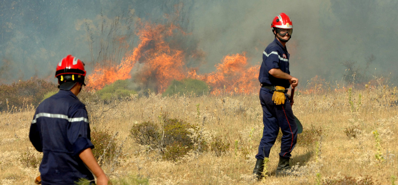 Lutte contre les incendies de forêts à Annaba : Ce qu’il faut savoir