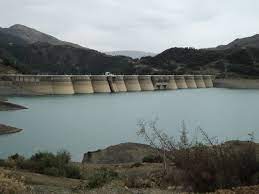Barrage Saf Saf El-Ouesra à Tébessa : La canicule tue des milliers de poissons