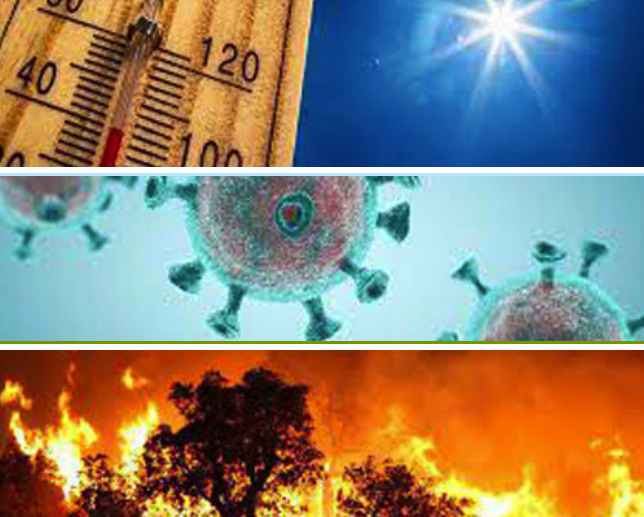 Incendies, canicule et coronavirus à Guelma : La population endure ces calamités