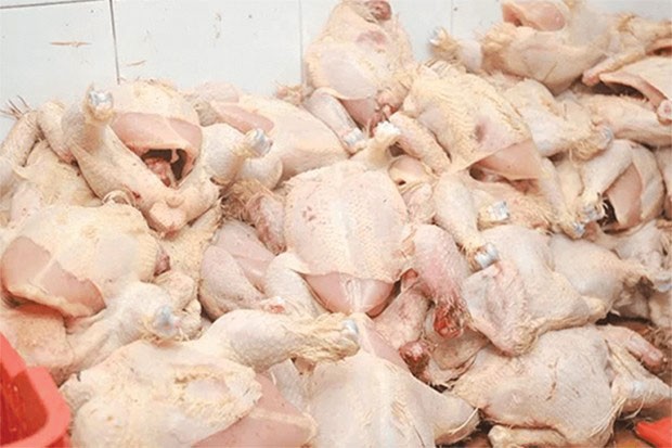 DCP DE SKIKDA : Saisie de 1.020 kg de poulet avarié