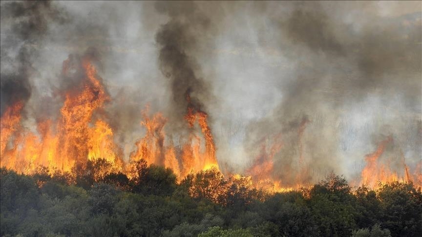 GUELMA : 17 hectares ravagés par 3 incendies