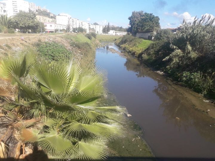Skikda : La digue d’Oued Zeramna résiste aux aléas