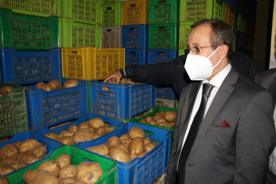 Régulation de la pomme de terre : 800 tonnes déstockées à Annaba