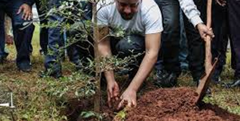 Conservation des forêts d’Annaba : Des campagnes de reboisement programmées