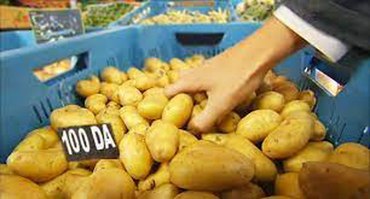 Détérioration du pouvoir d’achat : La pomme de terre à 100 dinars