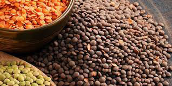 VENTE DE LENTILLES A LA CCLS D’EL-KHROUB : Des signes de la pauvreté et de la misère