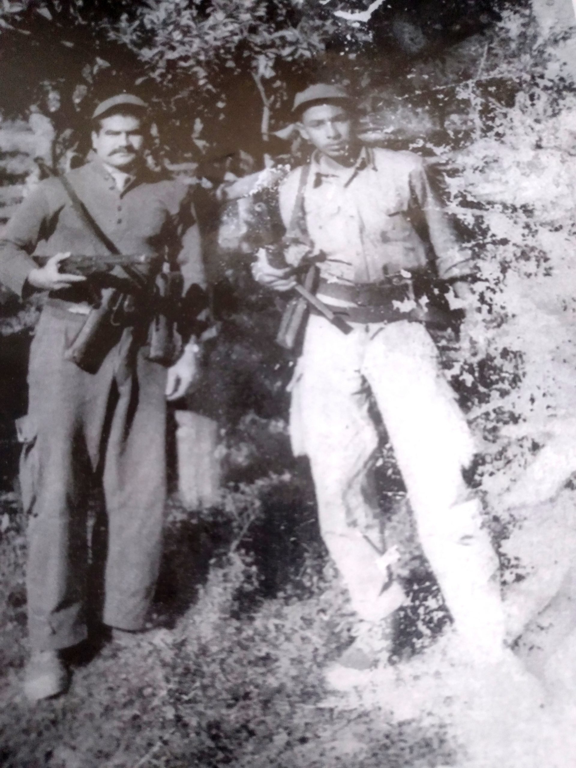 Novembre, Dellalou Hocine et tant d’autres braves : Ces anonymes qui ont fait la Révolution