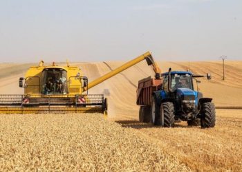 Stockage de la production à F’kirina : L’inquiétude des agriculteurs