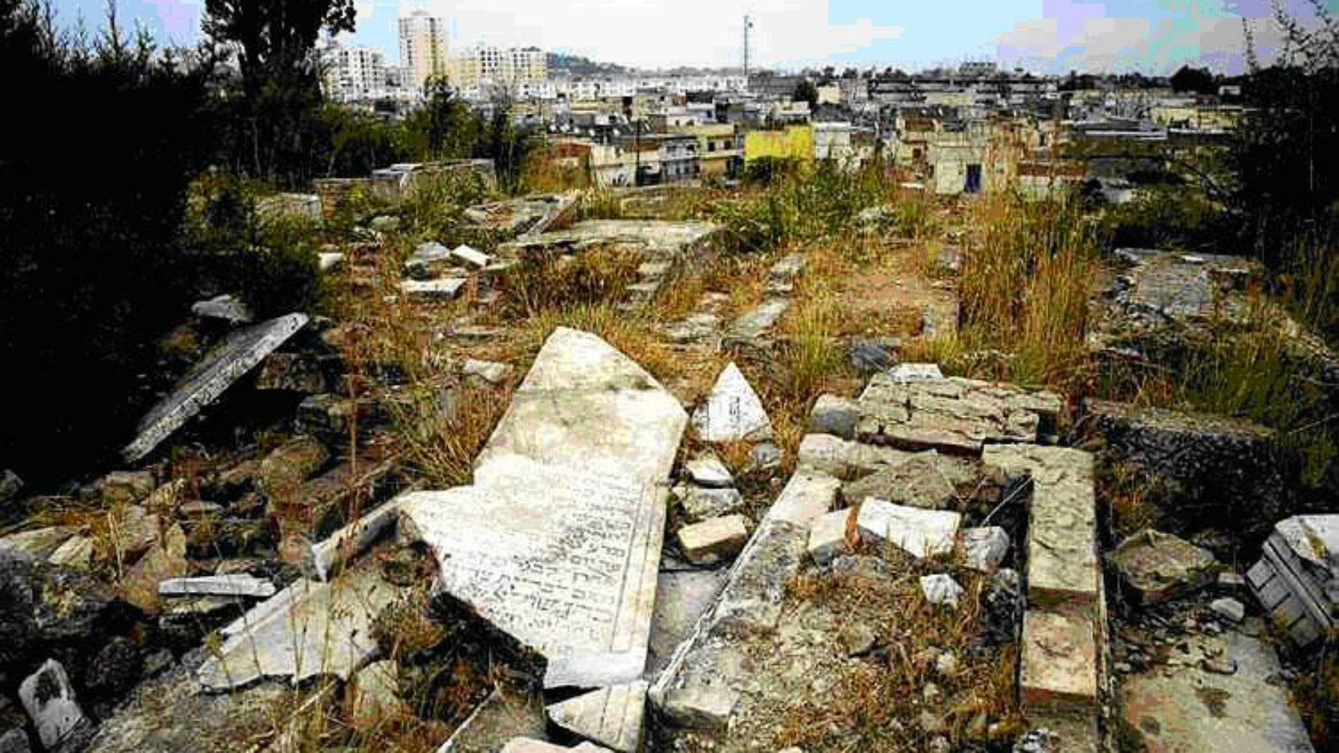 Cimetière de Zefzaf à Skikda : ‘’Suprême insulte pour nos morts’’