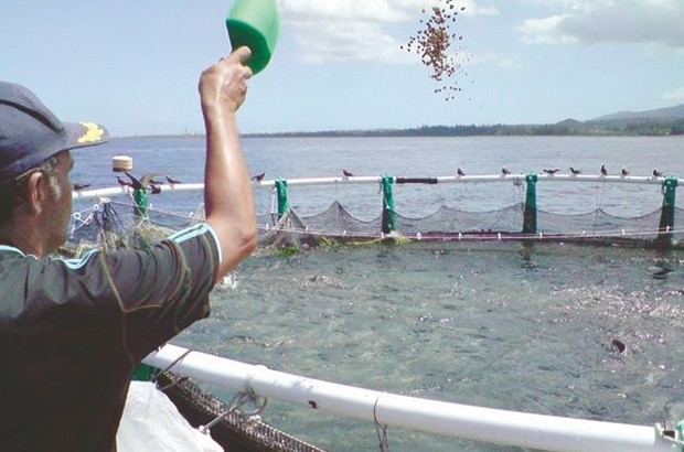 Aquaculture et pêche à Annaba : Une relance en perspective