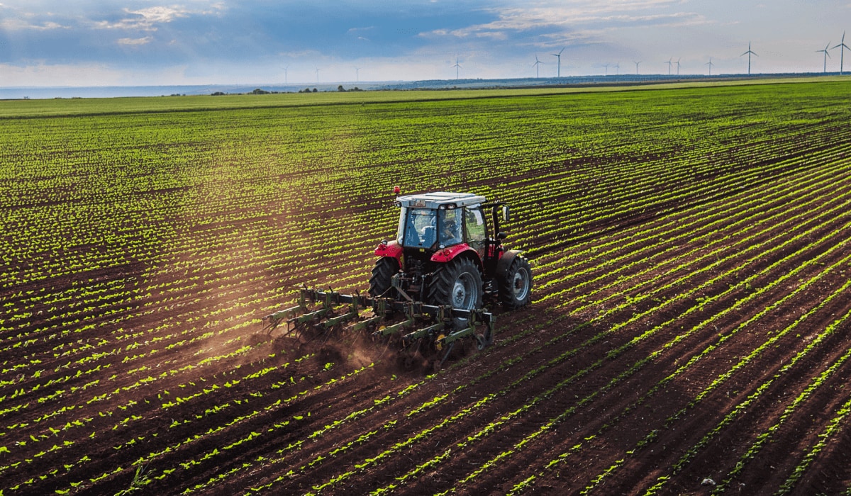 Création de nouvelles exploitations agricoles : Indisponibilité de périmètre viable