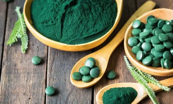 Guelma : Journée d’étude nationale sur la spiruline et ses vertus