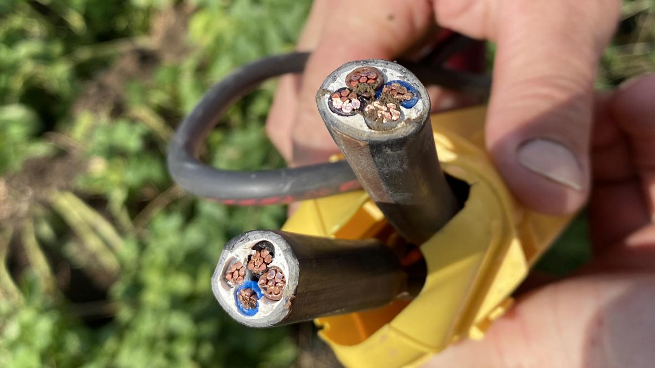 EL BOUNI : Démantèlement d’un réseau de voleurs de câbles téléphoniques