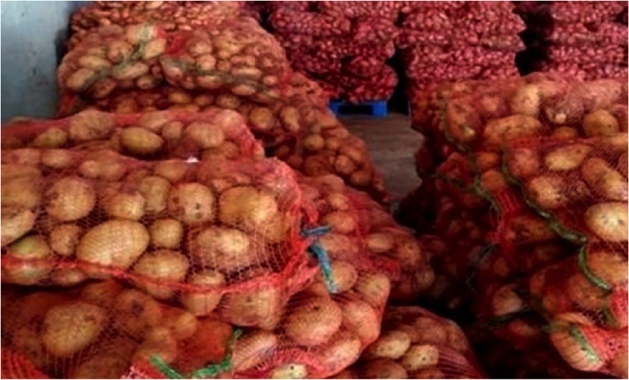 Lutte contre la spéculation : Saisie de 800 q de pommes de terre à Mila