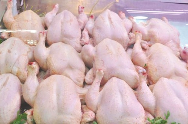 Viande de poulet à Annaba : Une relative stabilité des prix
