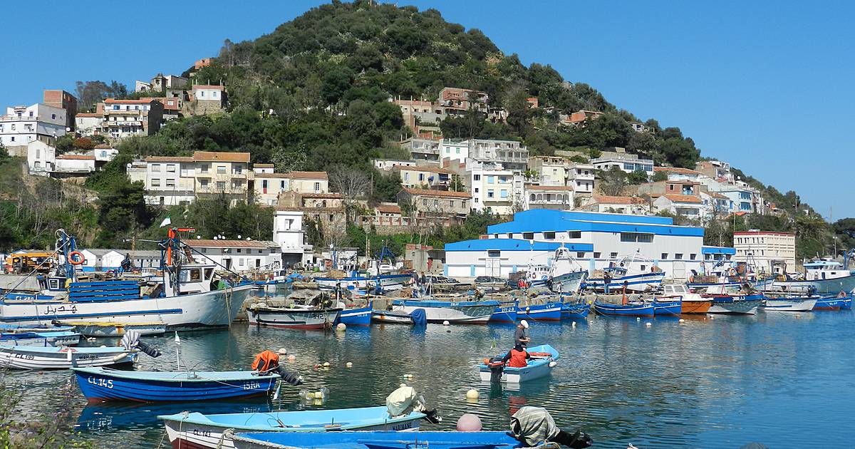 SKIKDA : Vers une modernisation des ports de Collo et Oued Zhour