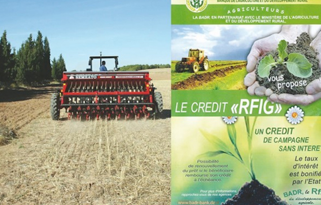 Secteur de l’Agriculture à Annaba : 188 demandes de crédit « RFIG » validées