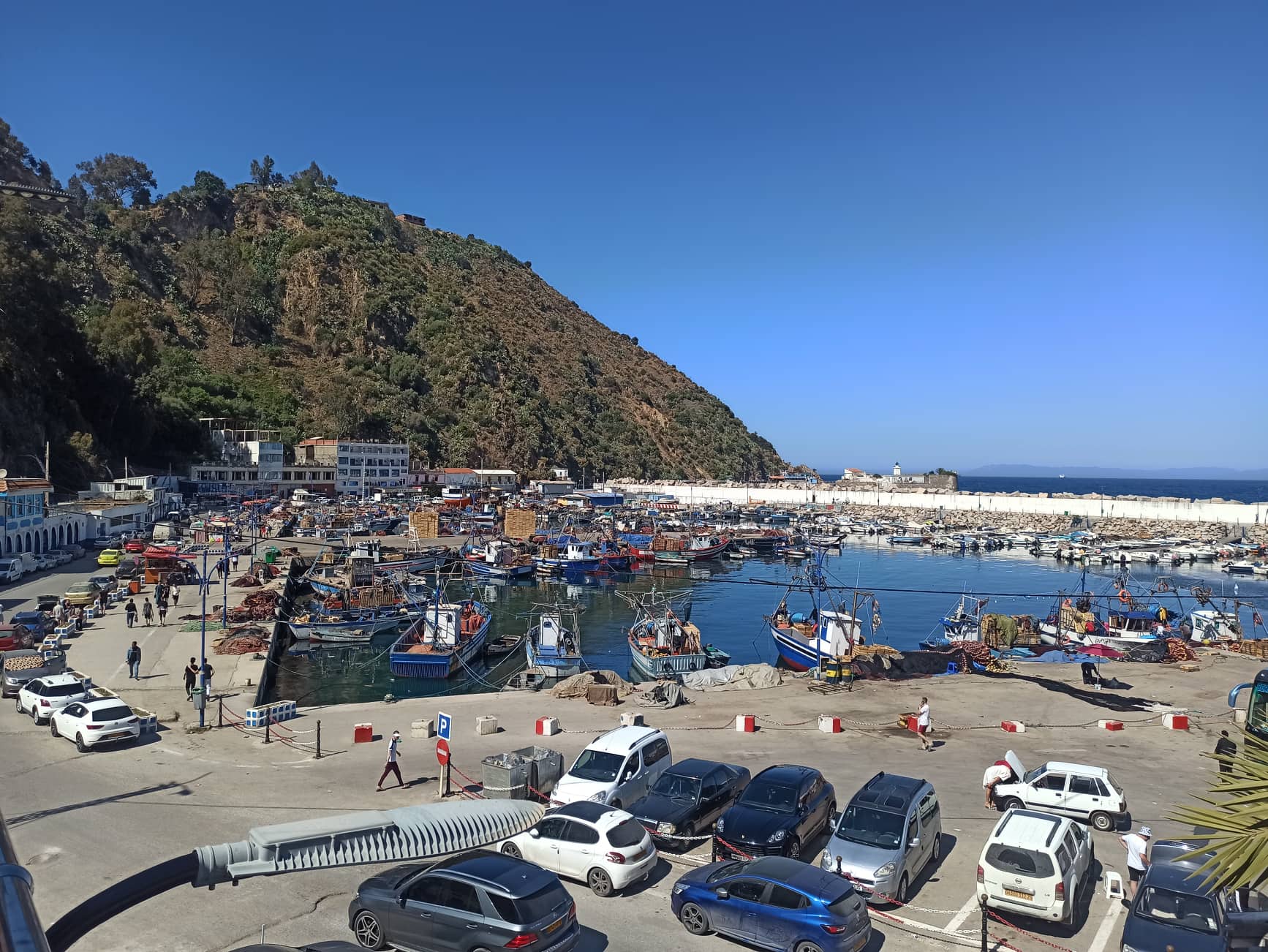 SKIKDA : La pollution envahit le port de pêche