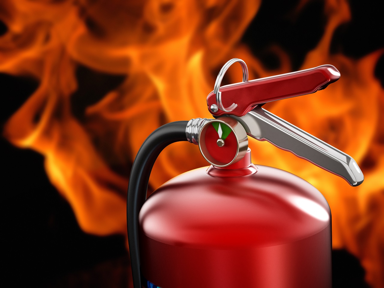 Protection civile de Guelma : Une journée sur la prévention des incendies