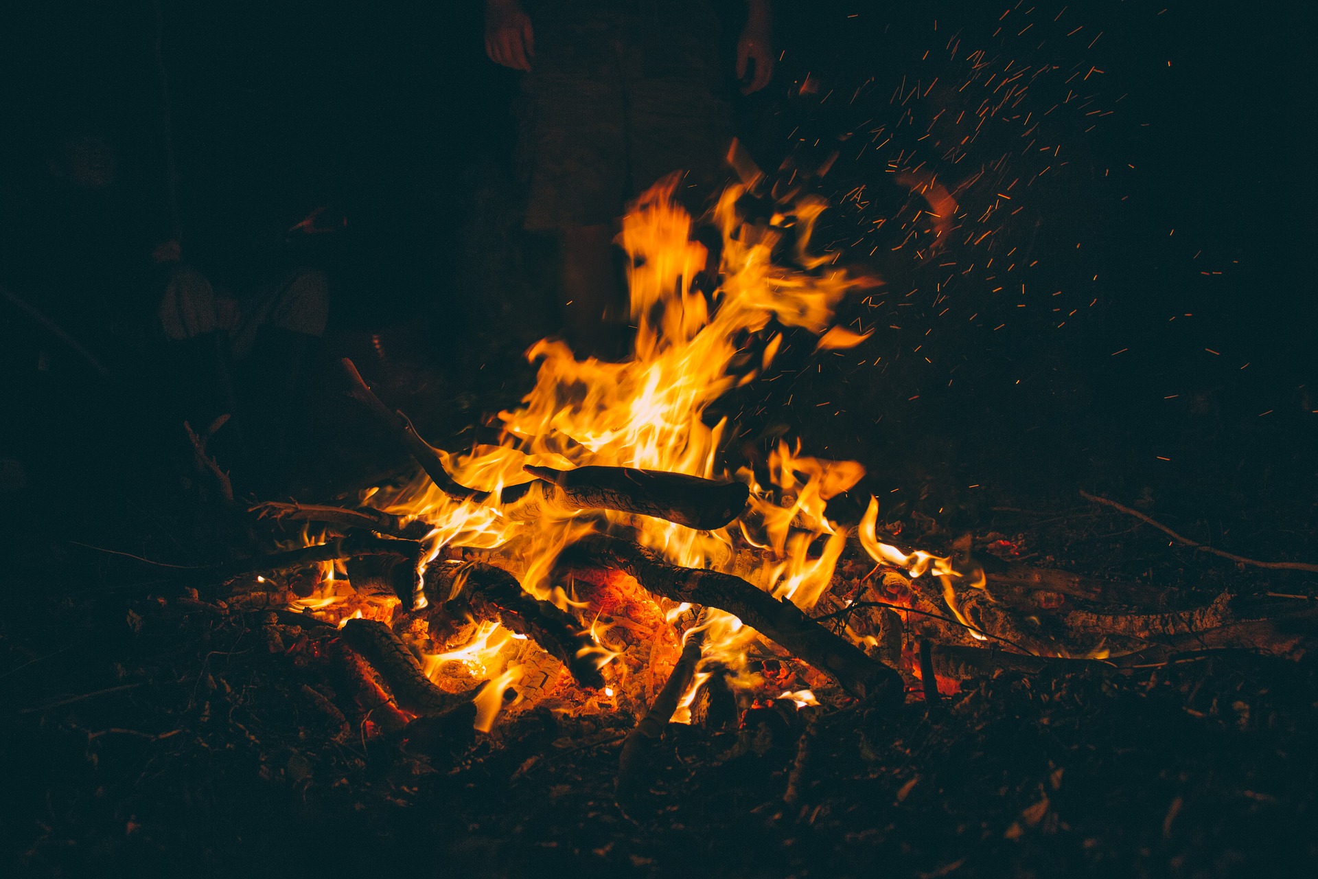 Pour éviter les incendies de l’été 2021 : Campings et barbecues bannis des forêts d’Annaba
