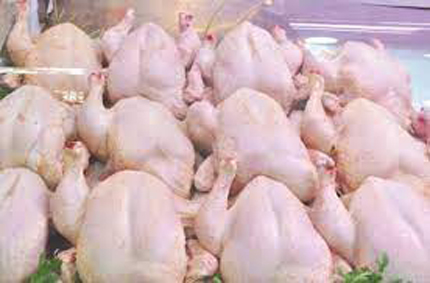 Stabilité des prix de la viande blanche :  Le kilo du poulet cédé à 250 dinars
