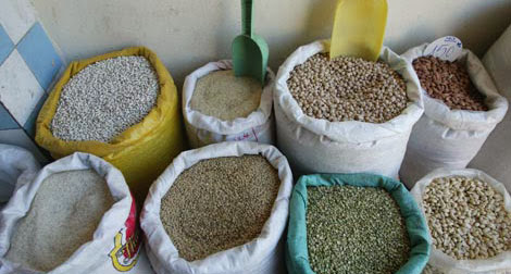 LEGUMES SECS A JIJEL : La saison s’annonce sous de bons auspices