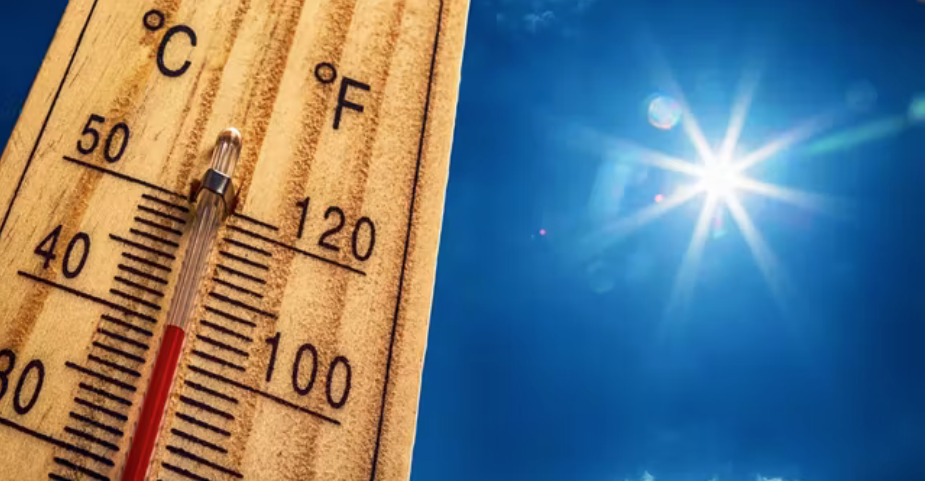 Hausse des températures à Jijel : La Protection civile anticipe un plan anti-canicule