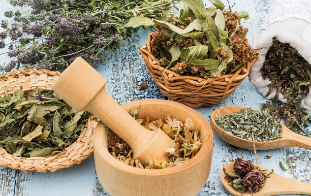 La phytothérapie : Une sensibilisation nécessaire