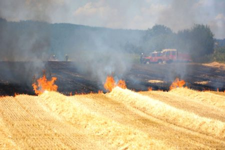 Pour « avoir volontairement mis le feu à des récoltes » : Un individu en détention provisoire à Skikda