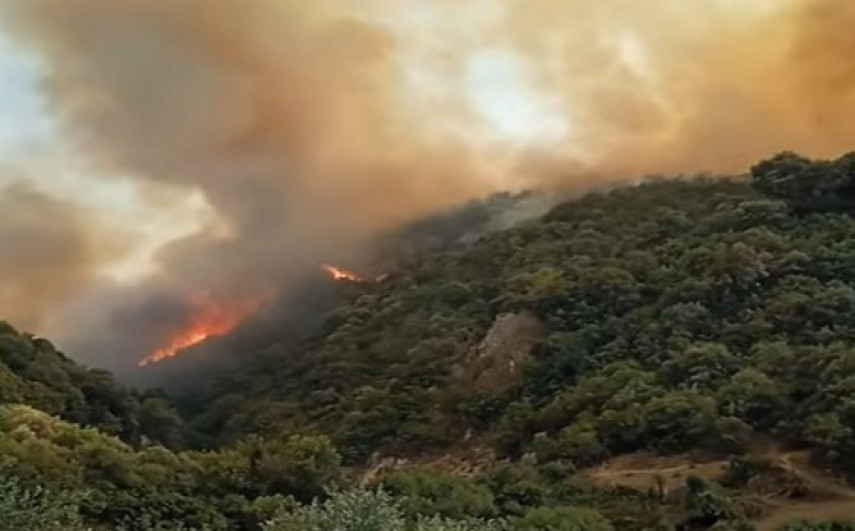 66 incendies en une semaine à Annaba : Le spectre des feux refait surface