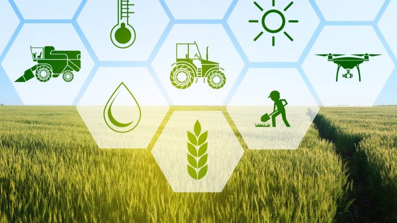 Electrification de 124 exploitations agricoles : Le manque d’énergie pénalise le secteur agricole