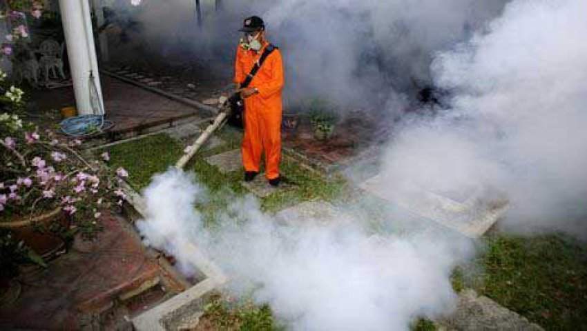 Démoustication des quartiers à Constantine : Un bilan mitigé