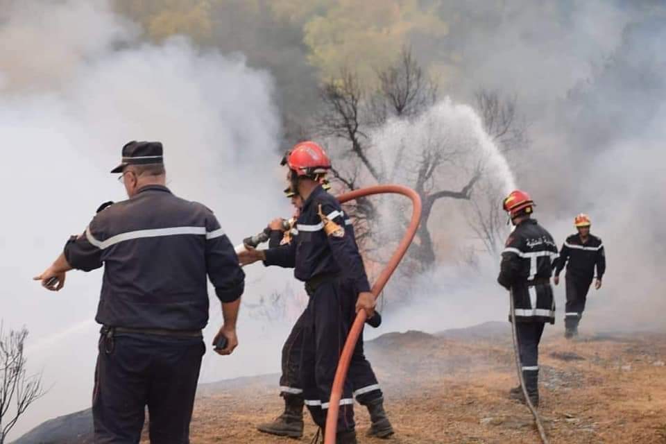 FEUX DE FORÊTS À JIJEL : L’incendie de Djerafa totalement maîtrisé