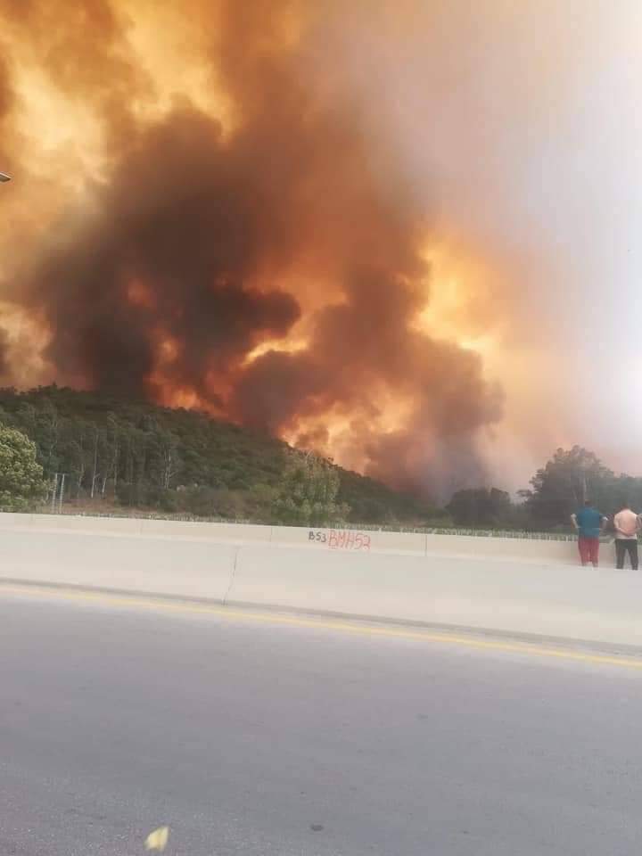 Incendies : L’Est en feu !