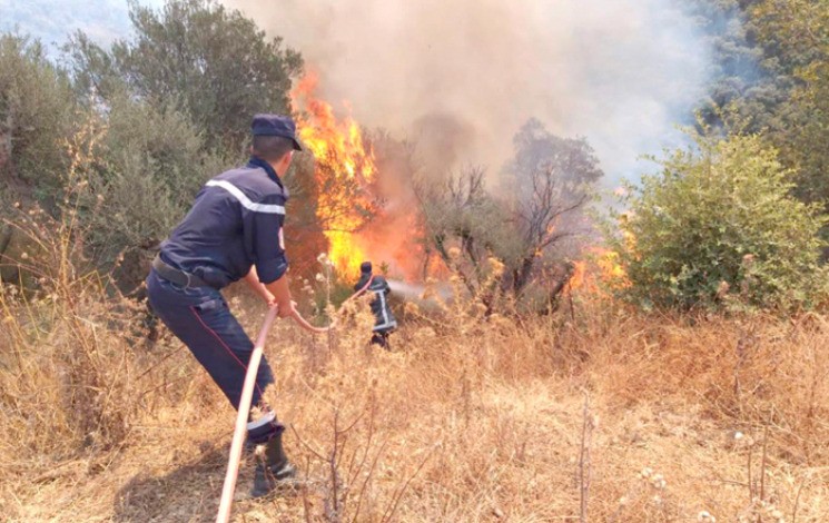 INCENDIES À JIJEL : De nouveaux départs de feu signalés