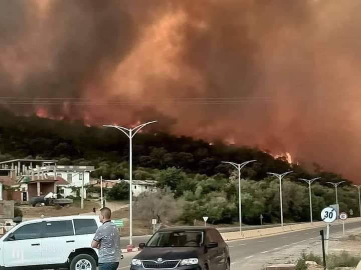 Feux de forêts : Situation critique à El-Tarf
