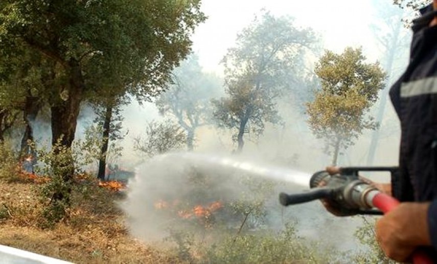 Des incendies embrasent la région de Guelma : La population endure une vie infernale